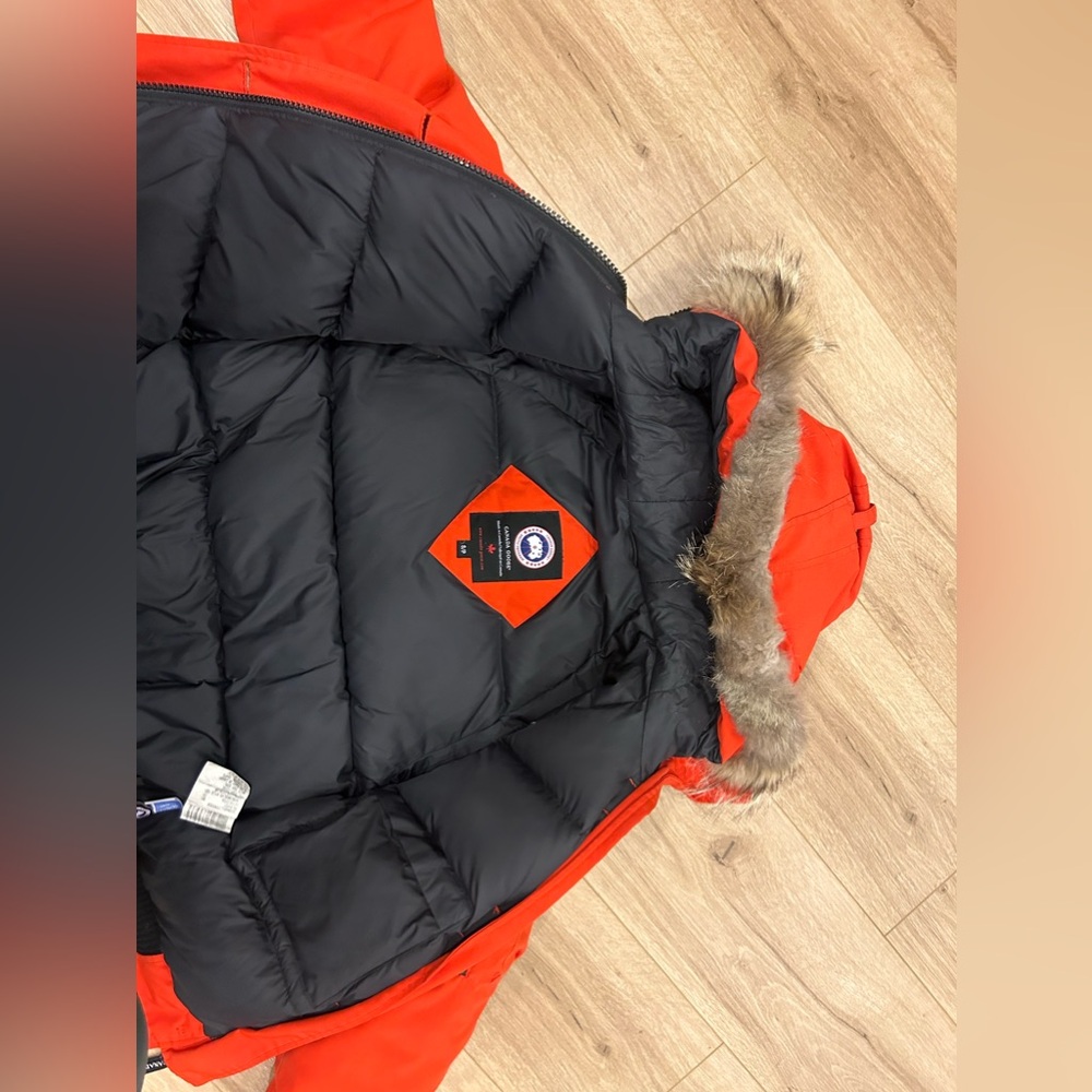 Orange Canada Goose